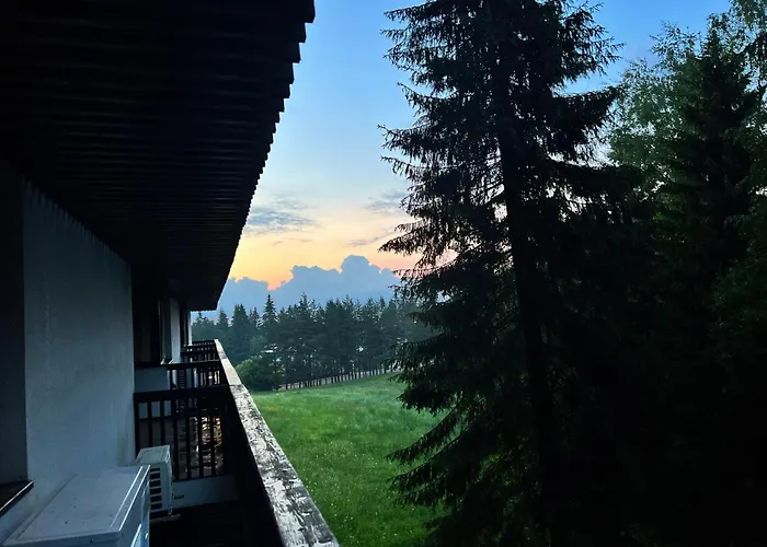Apartment 2305 Hotel Alpin Poiana Brasov