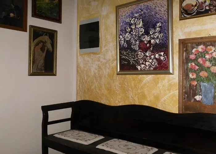 Pension Giulia Dumbravita 