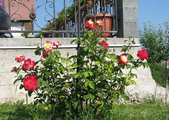 Pensiunea Neredy Băile 1 Mai