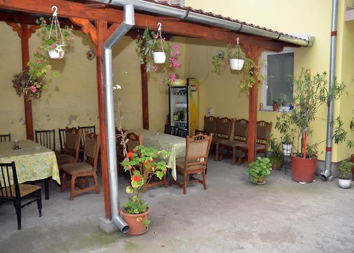 Pensiunea La Palaguta Baia Mare