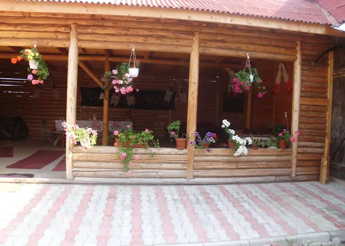 Pension Ioana Lavita Vadu Izei
