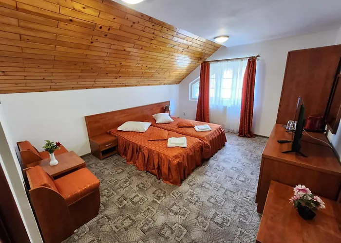 Casa Minerva Hotel Buşteni