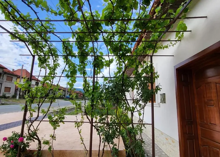 Casa Din Sat Hotel Ieşelniţa