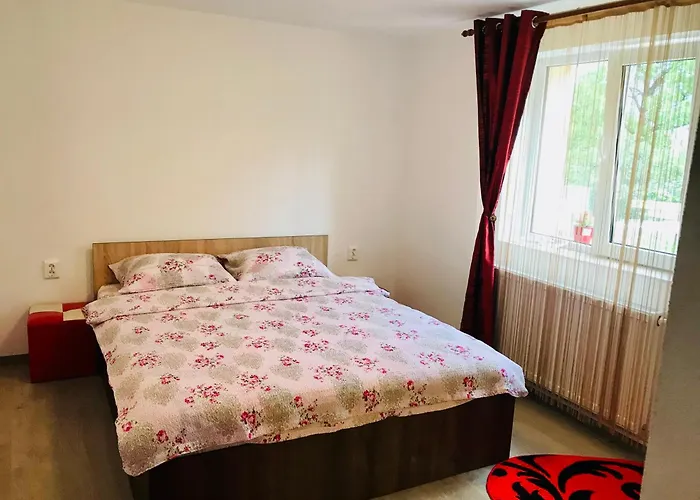 Casa Victoria Hotel Cîrţişoara