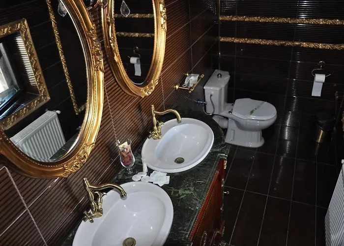 Casa Cu Farfurii Hotel Sinaia