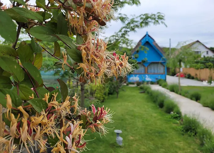 Casa Malul Dunării Hotel Mahmudia