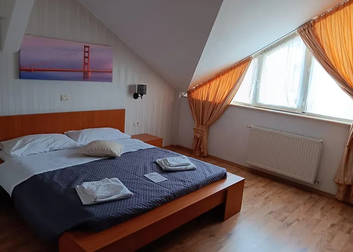 Pet friendly Hotel Vila Veneto Timisoara