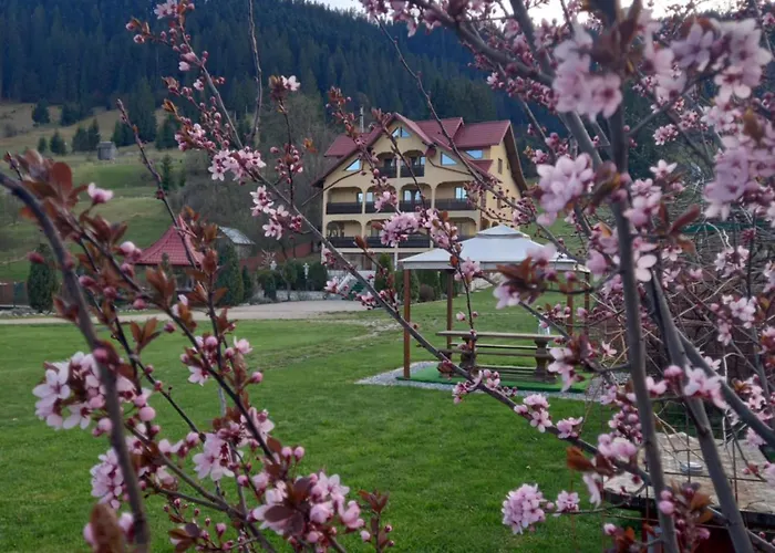 Pensiunea Aluniş Hotel Sadova 