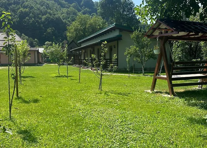 Pensiunea Bota Vişeu de Sus