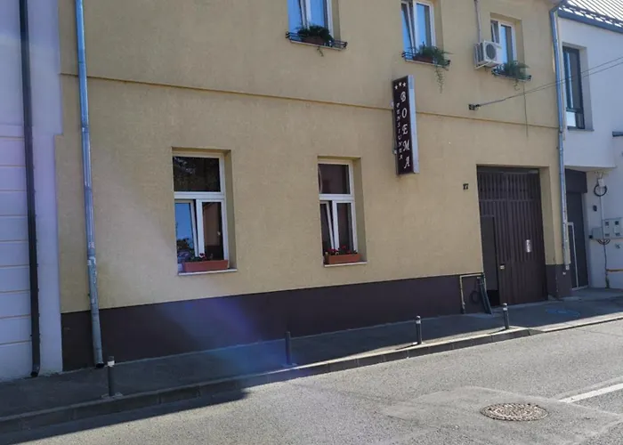 Pensiunea Boema Cluj-Napoca che accetta animali