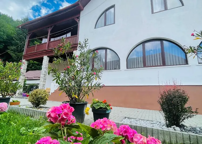 Casa Pote Hotel Covasna