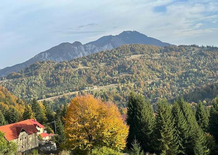 Hoteluri în Azuga