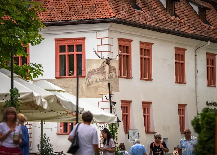 Hotel Casa Cu Cerb Sighişoara