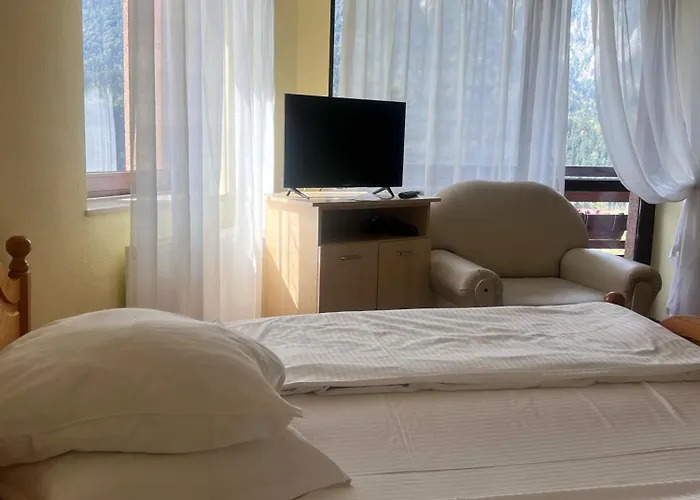 Hoteluri în Buşteni