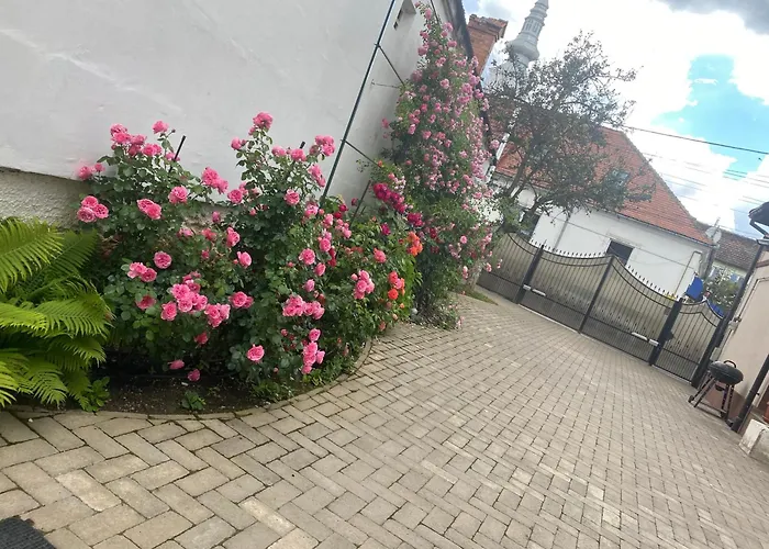 Budux Delux Vila Săcele