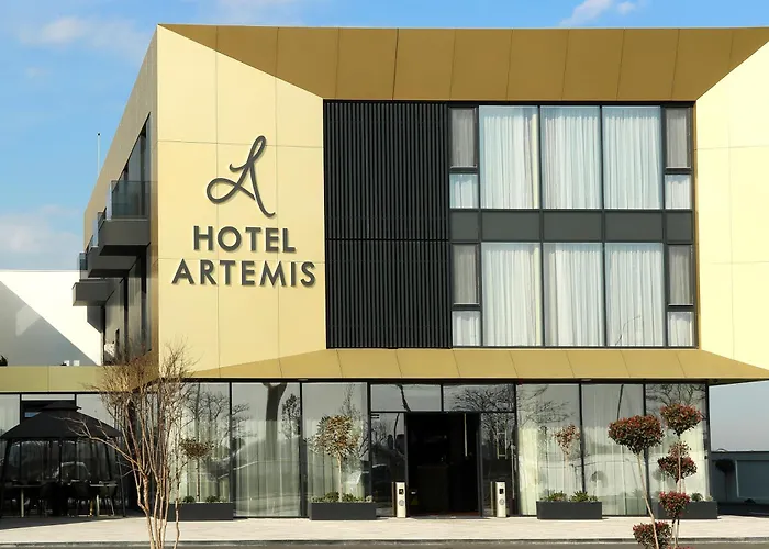 Hotel Artemis Oradea