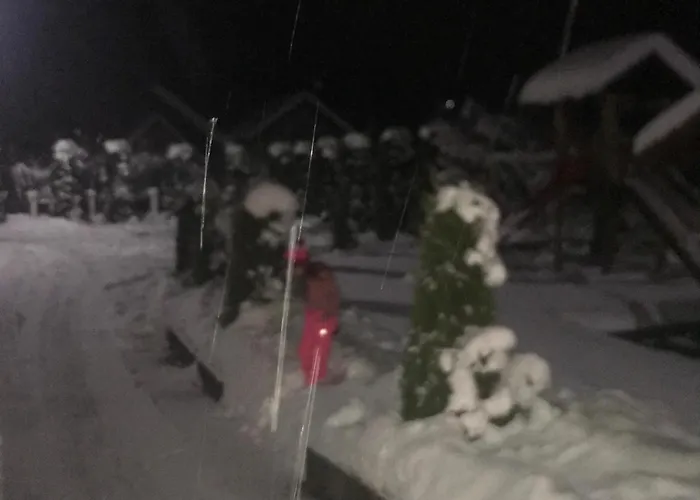 Pensiunea Edia Borşa