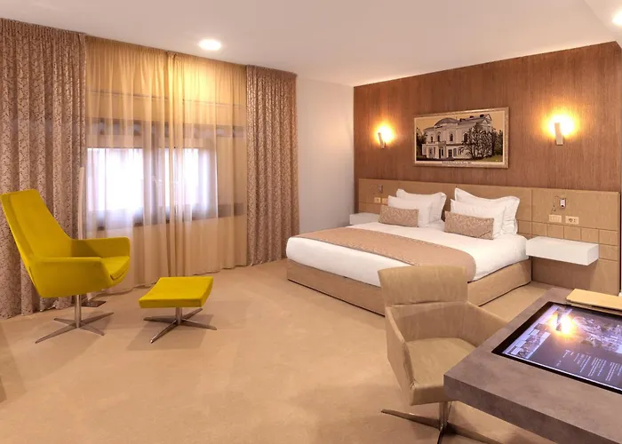 Hotel Vila Class Satu Mare