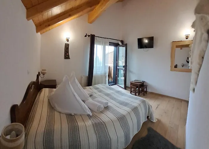 Pension Cabana Ionela Vama 