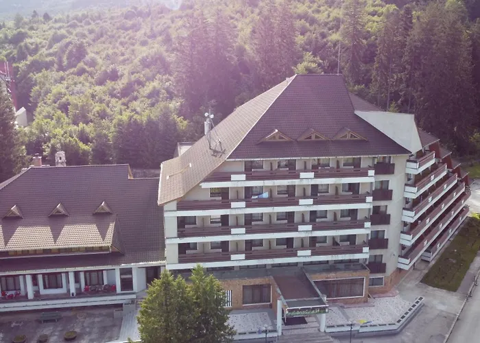 Hotel Bradul - Covasna
