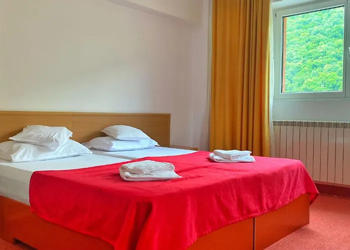 Hotel International Băile Herculane