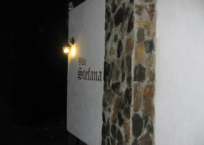 Vila Stefana Păltiniş