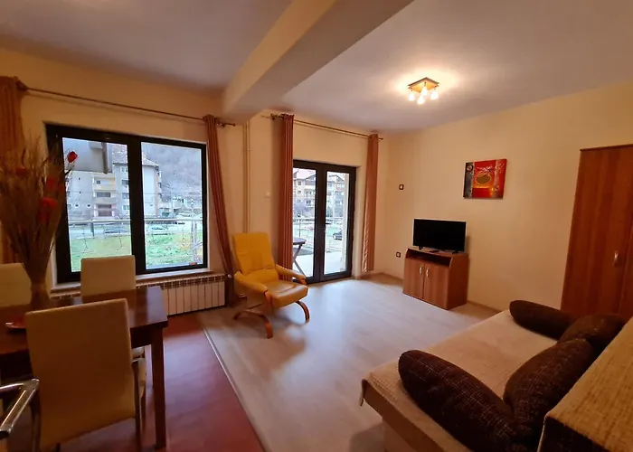 Pension Camelia Băile Herculane