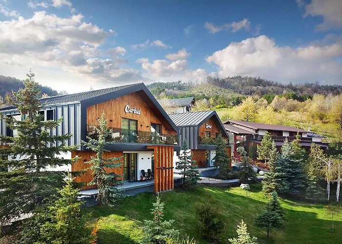 Complex Turistic Creanga Resort & Spa Târgu Ocna