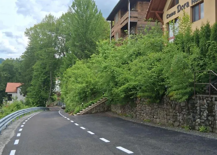 Casa Dora Hotel Sovata