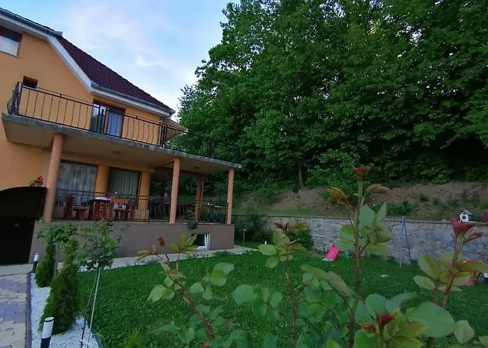 Casa Teodora Hotel Băile Felix