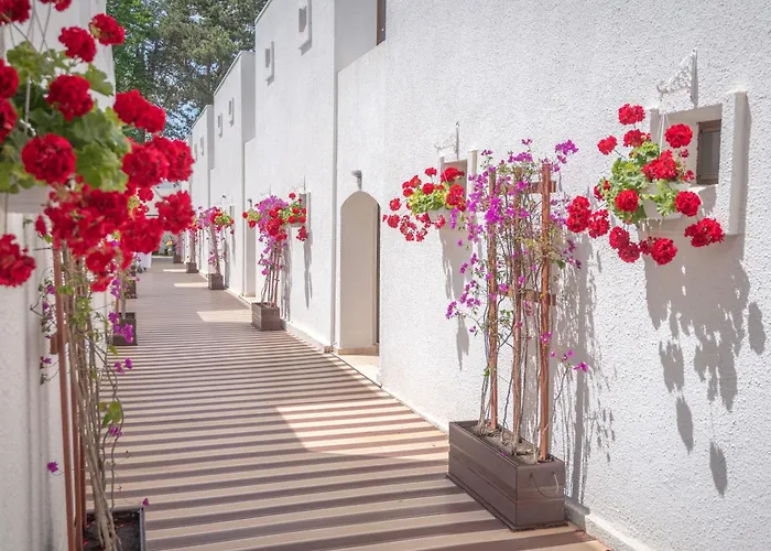 Hotels in Venus