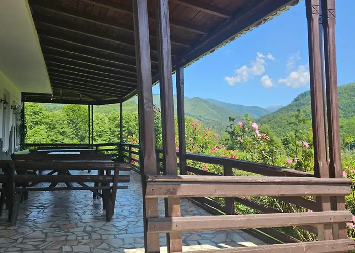 Valea Doamnei Hotel Nucşoara