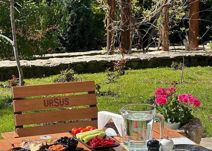 Cetatuia Hotel Măgura