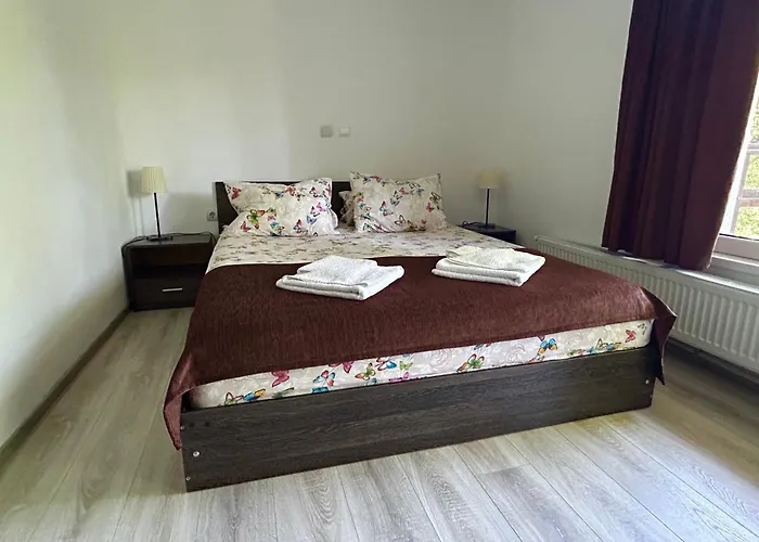 Casa Flori de Sare Hotel Slănic