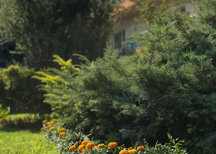 Vila Oranj Costineşti