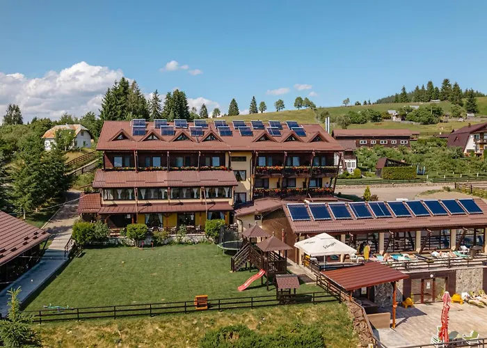 Pensiunea La Bella Vista Poiana Negrii