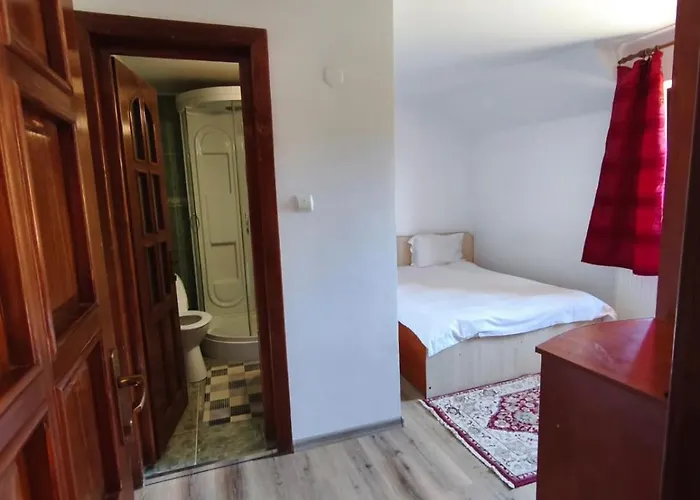 Casa Gabi Hotel Bran 