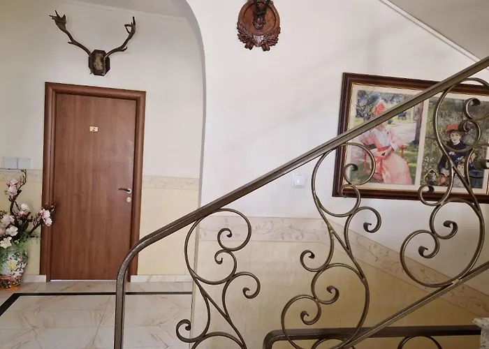 Pensiunea Veronica Băile Felix
