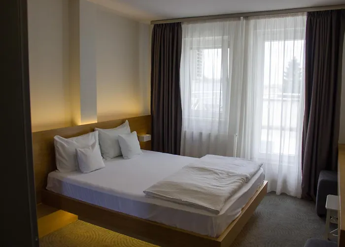 Boutique Hotel Silva Timişoara