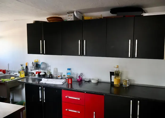 camere de închiriat Duly Costinești