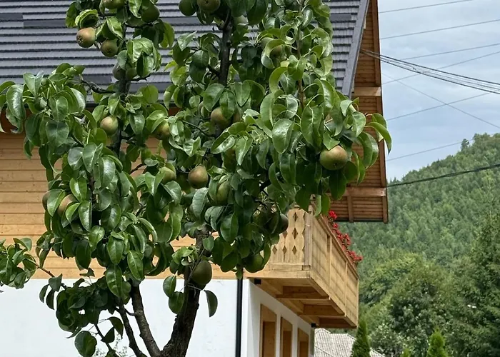 Anahouse Hotel Vişeu de Sus