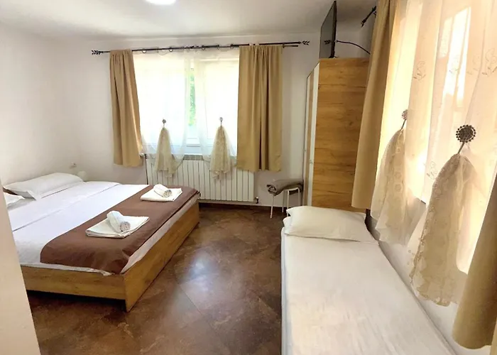 Pensiunea Axenia Ale Vişeu de Sus