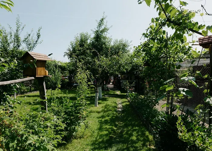 Casa Vlad Hotel Haţeg