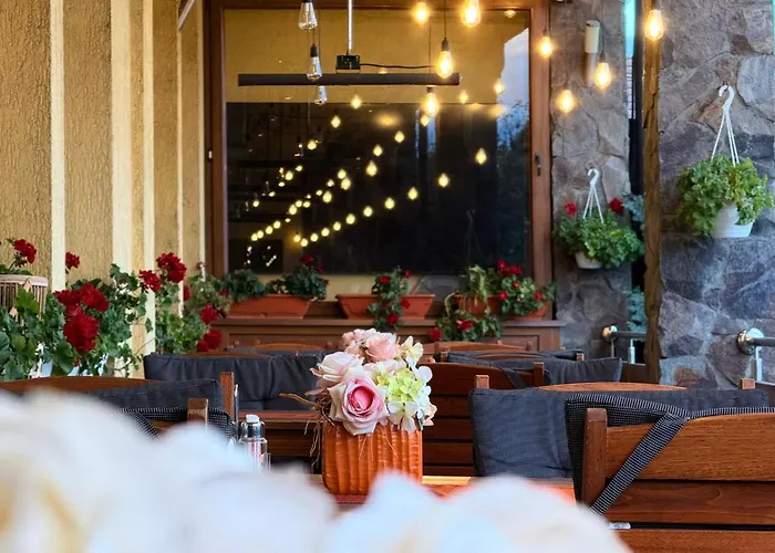 Hoteluri în Reghin