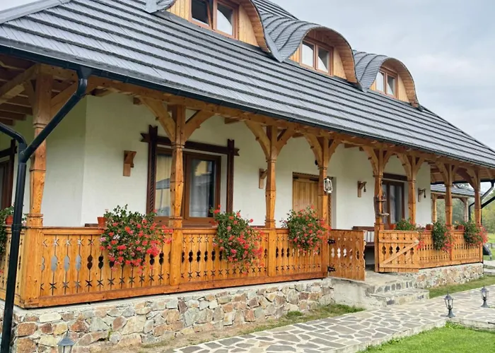 Casa Moroșanului Vișeu de Sus Hotel