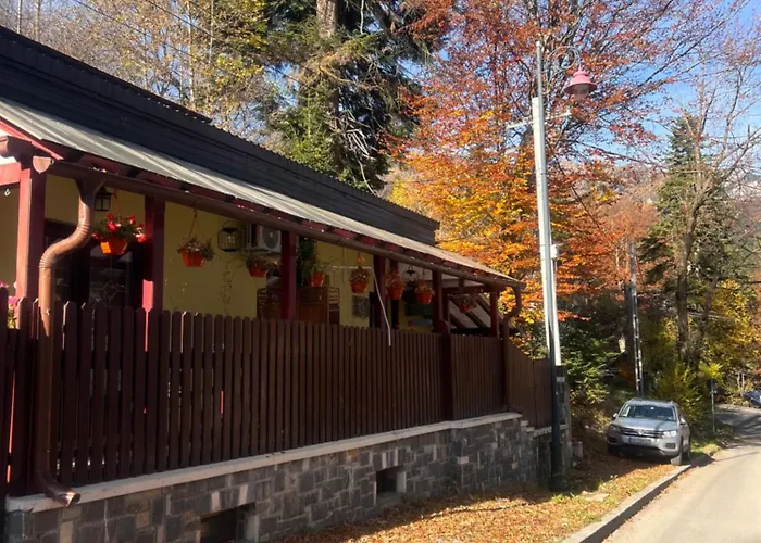 Casa de Vacanta Razvan si Andrei Sinaia