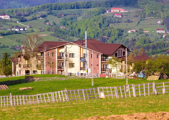 Pensiunea Poiana Viselor Poiana Mărului