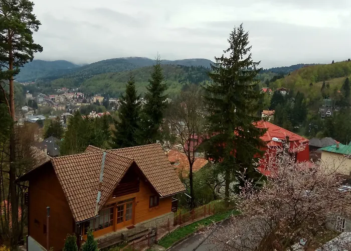 Casa Adina Hotel Sinaia