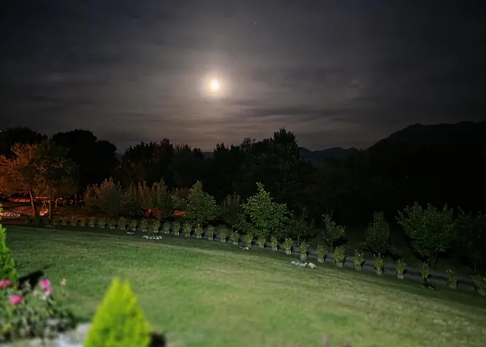 Dumbrava Ursului Hotel Zărneşti