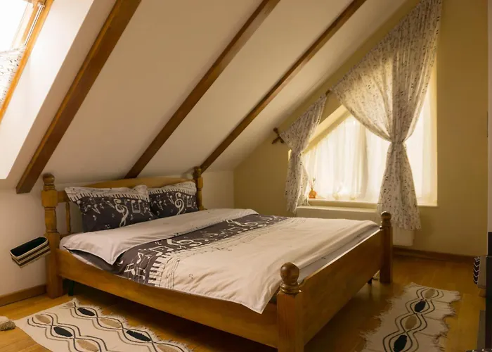 Vila Vladimir Poiana Brasov